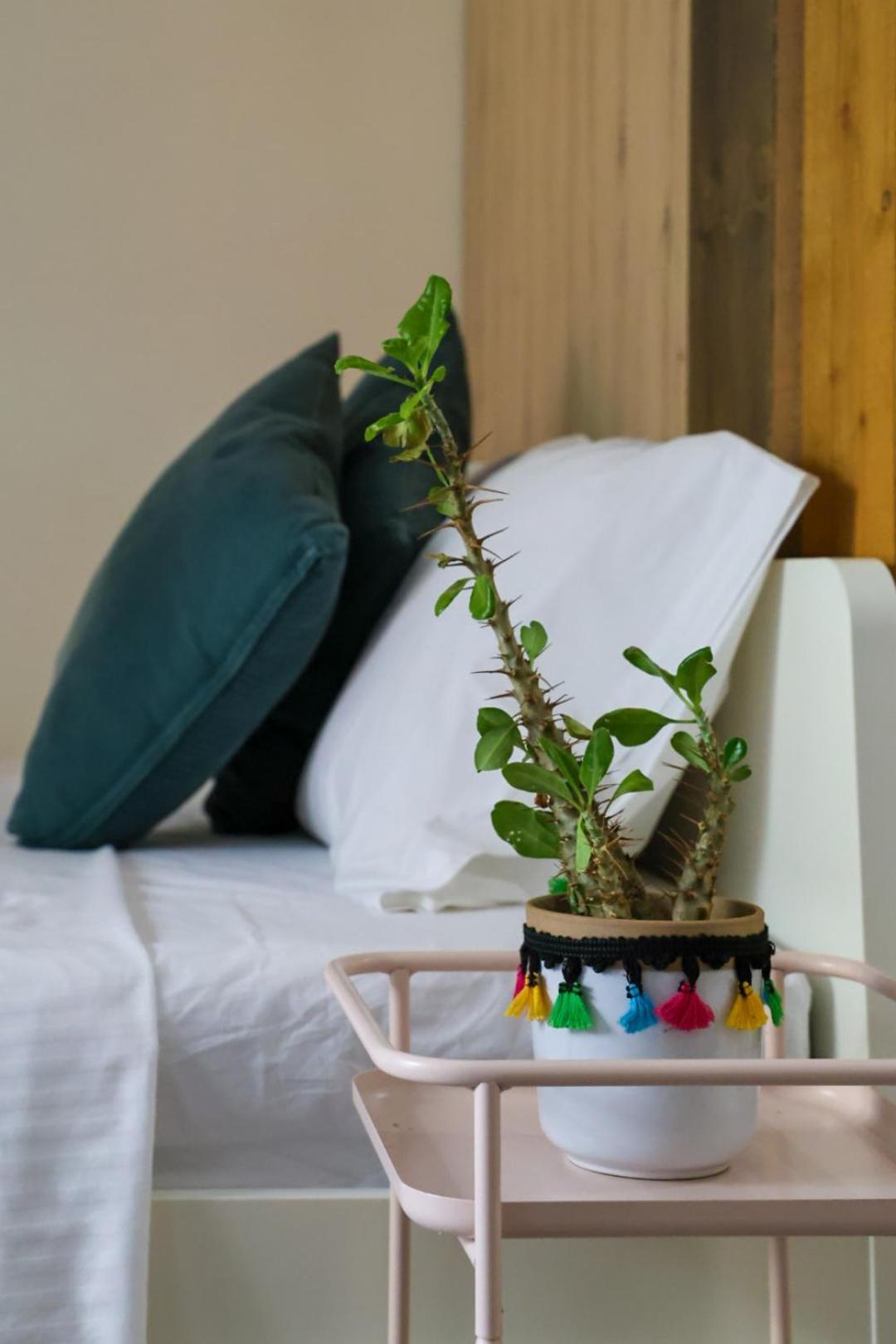 Filena'S Cozy Studio 雅典 外观 照片